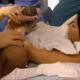 Kourtney Kardashian Born